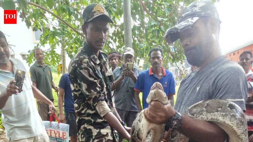 12-foot python rescued near Puri railway station | Bhubaneswar News
