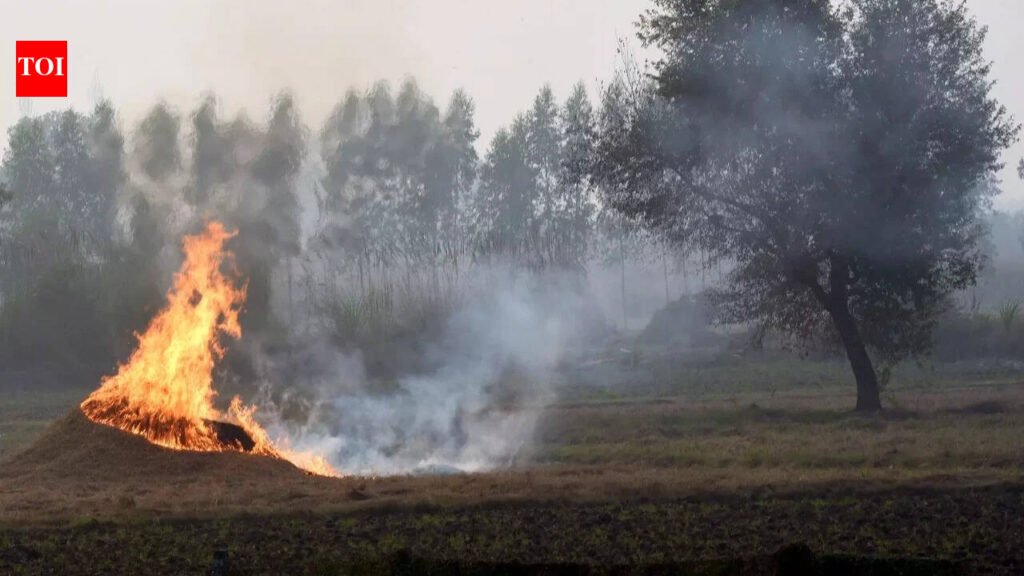 Stubble Burning: Centre asks states to go into ‘mission mode’ to curb stubble burning as farm fires rise in MP, Rajasthan | India News