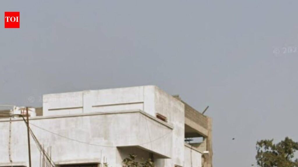 Residents seek explanation from PMC after 7 young trees felled sans intimation in Koregaon Park | Pune News