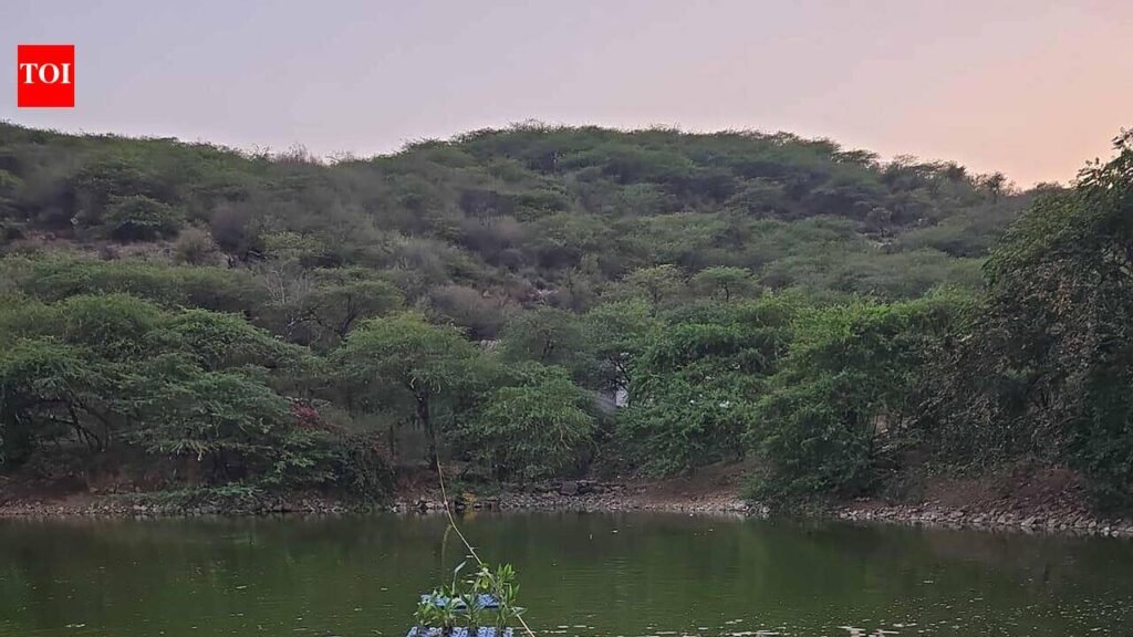 MCG to use drones to map squatters around ponds | Gurgaon News