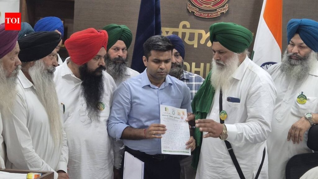 Demand raised for Punjabi’s official status in J&K | Ludhiana News