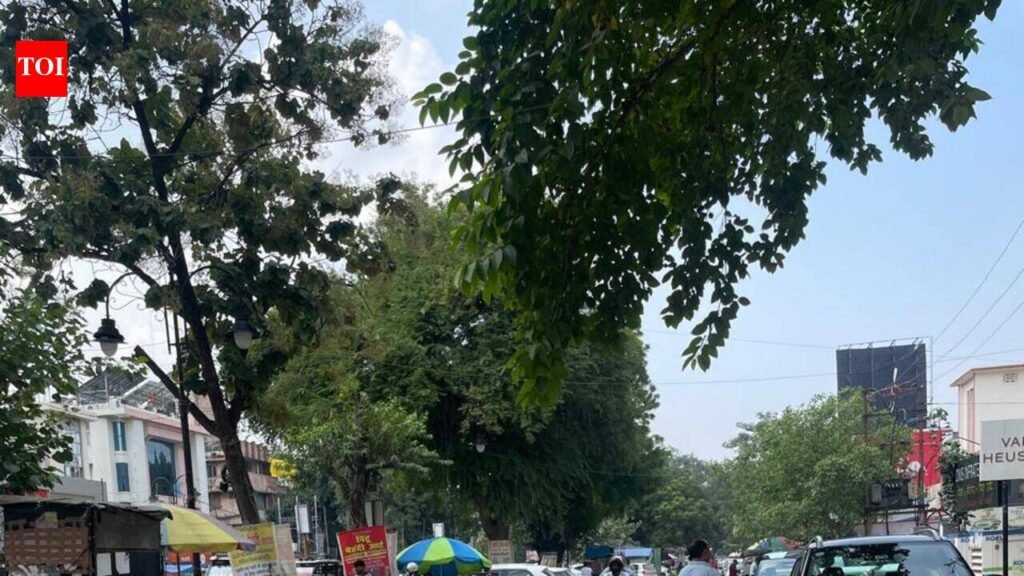 Regulated parking resumes on MG Marg, SP Marg after 5 years | Prayagraj News