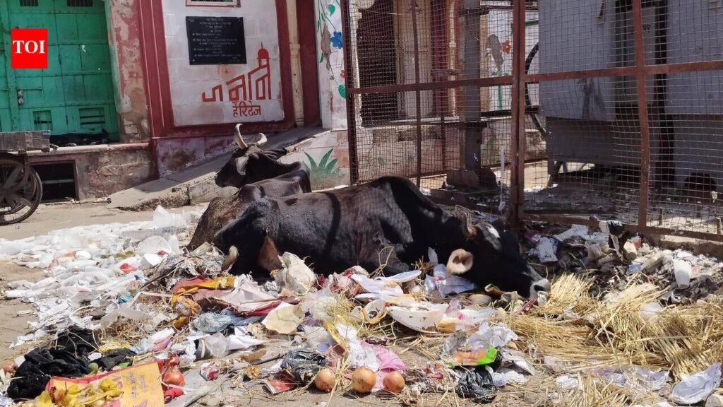 Diwali clean-up plan faces questions over ward priorities | Jaipur News