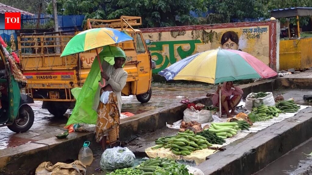Water shortage in farms pushes up vegetable prices by 10-15% | Pune News