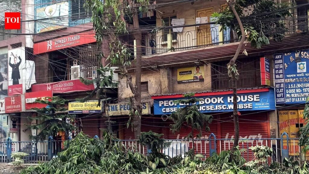 Pre-puja hoarding blitz may put roadside trees at risk: Experts | Kolkata News