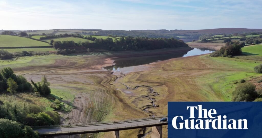 Businesses could be barred from non-essential water use amid supply threat | Water
