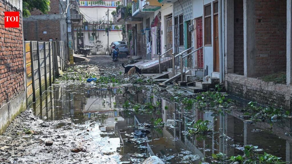 Floods disrupt healthcare access as residents face health risks | Lucknow News
