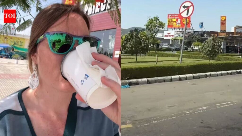 ‘This is not the India I remember’: Foreign traveller compares road trips after 17 years, praises smoother highways, clean washrooms and coffee stops