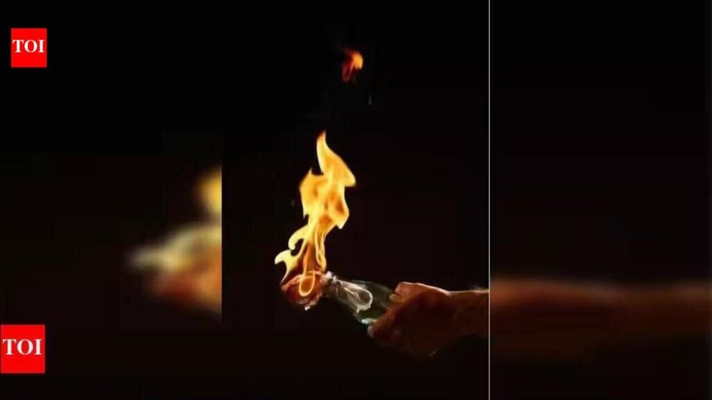 Two arrested for hurling petrol bomb at house | Chennai News