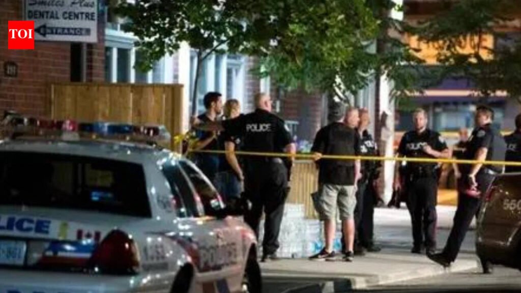 ‘White supremacist views’: US teen held with rifle, ammo over Hindu temple attack plot | India News