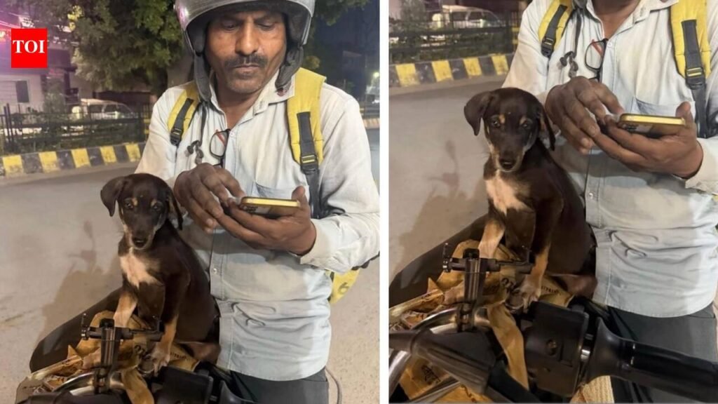 Blinkit delivery riders rescue injured puppy after road accident, give it a home at warehouse; internet says ‘This is so precious’ |