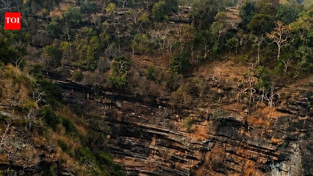 UP tiger reserves, wildlife sanctuaries to reopen for tourists from Nov 1 | Lucknow News