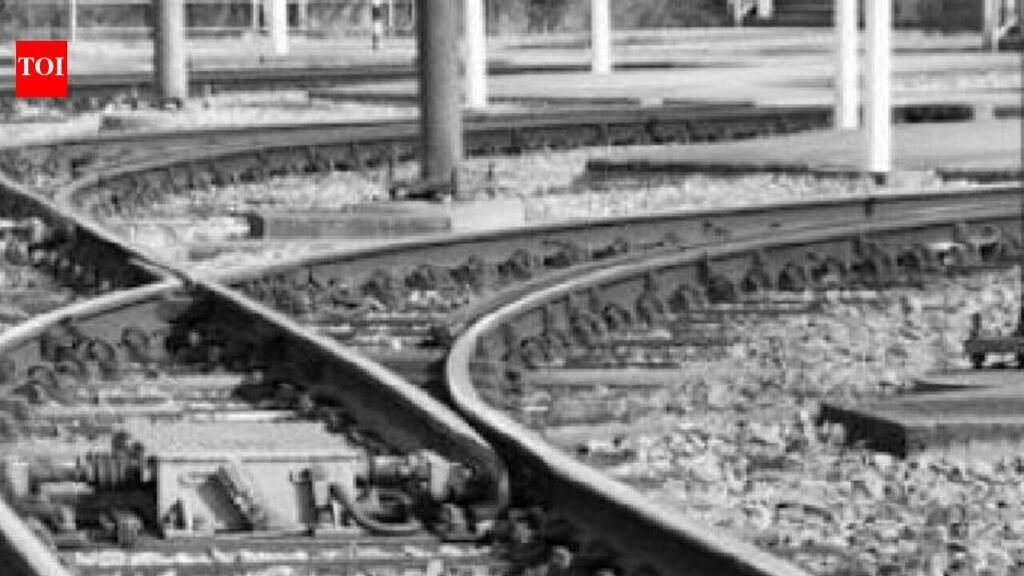 Unidentified man found dead on railway track at Curchorem | Goa News