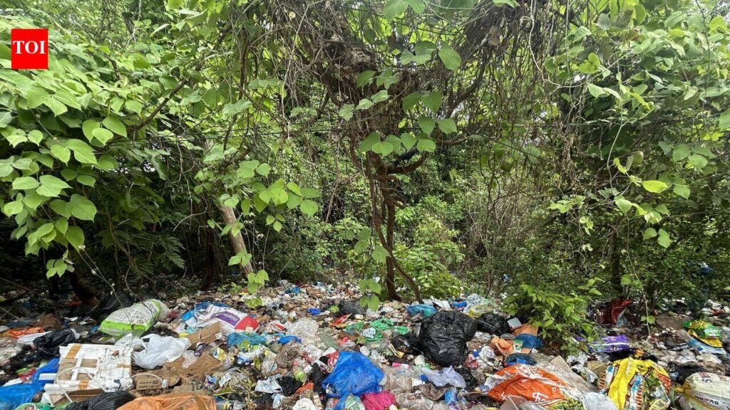 Wet waste piles up, raises stink fear after collection halted for 8 local bodies at Saligao | Goa News