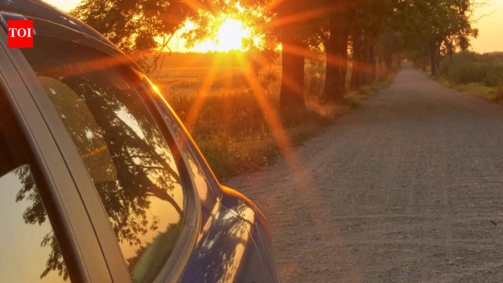 5 things you should never leave inside a hot car