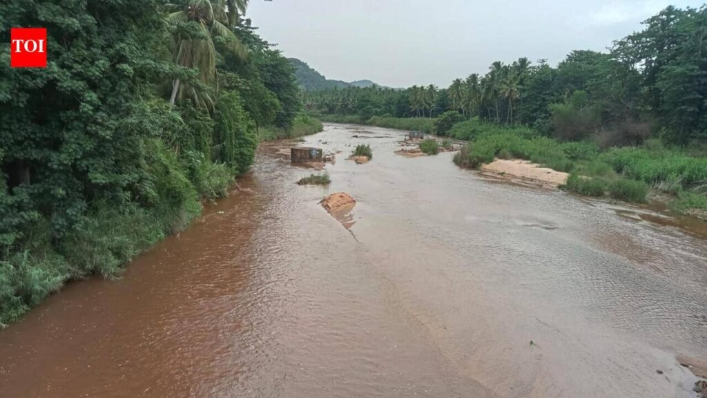 Heavy rain lashes western and southern Tamil Nadu, Cauvery delta farmers say rains inadequate | Chennai News