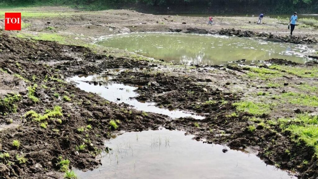 Citizens seek revival of Pandhrabodi Lake amid drought woes | Nagpur News