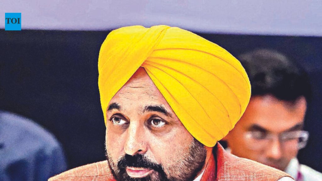 HC allows Punjab govt plea on Mann’s trip to France; grateful, says CM | Chandigarh News