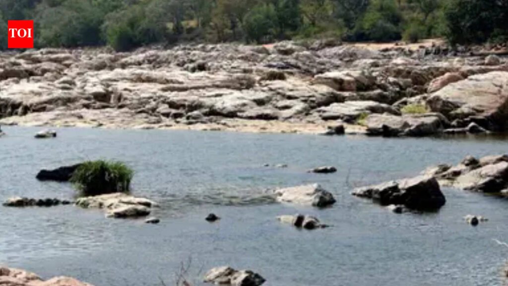 Karnataka reservoir storage down 30% as water crisis looms | Bengaluru News