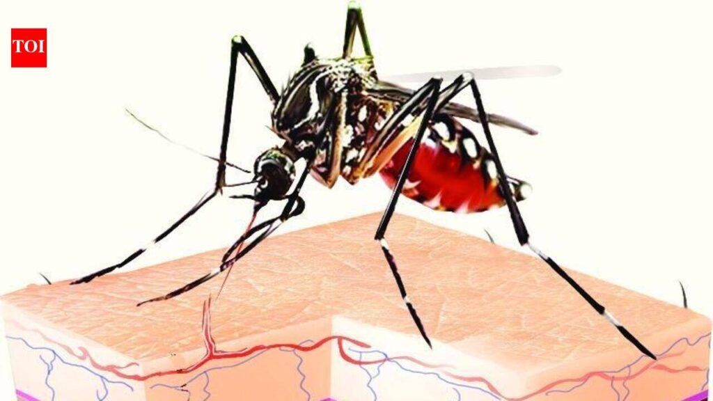 Rain-related disease prevention measures intensified as rains strengthen | Thiruvananthapuram News