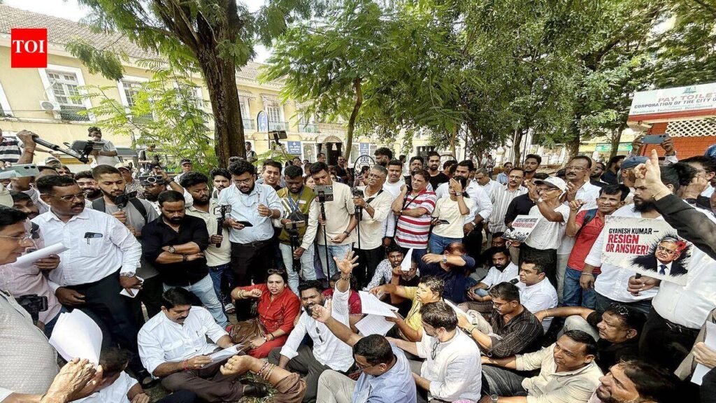 CJP protest: Police file FIR against 300 for anti-Hindutva slogans | Goa News