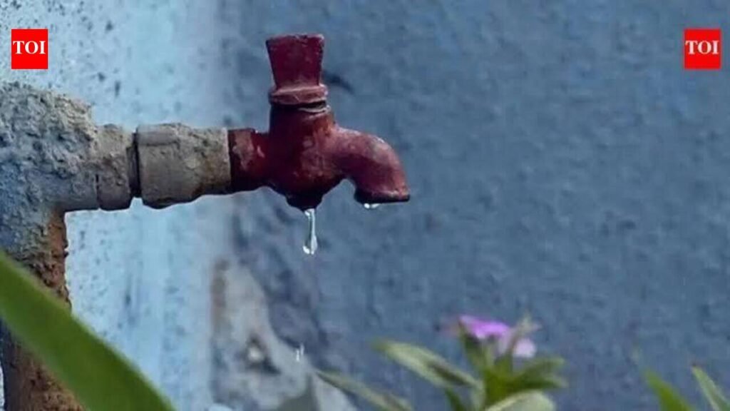 Water shortage forces several water parks in and around Pune to temporarily shut or scale back operations | Pune News