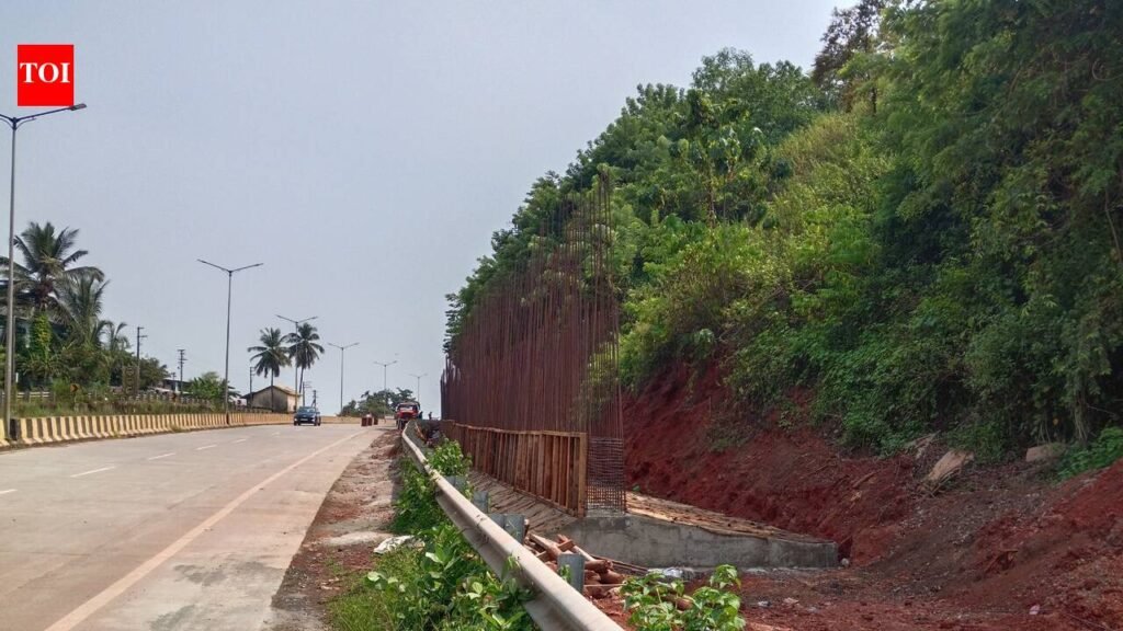 Retaining wall to curb landslide risk in Vathadev bypass | Goa News