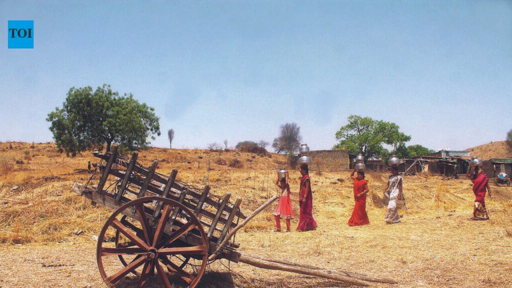 As paddy losses mount, Mulshi & Maval farmers seek drought relief, question assessment process | Pune News
