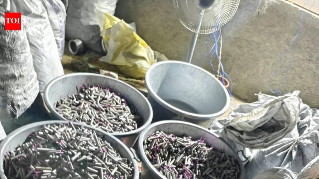 Illegal firecracker stock seized in Bahadurgarh; FIR against 2 | Chandigarh News