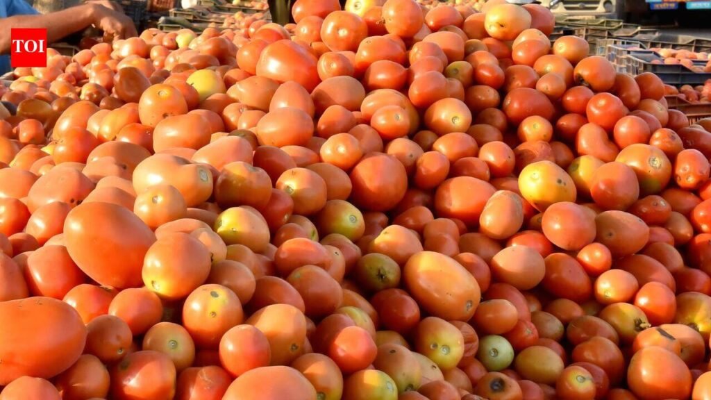 Tomato prices crash up to 80% in Bengaluru; drop is not city-wide | Bengaluru News