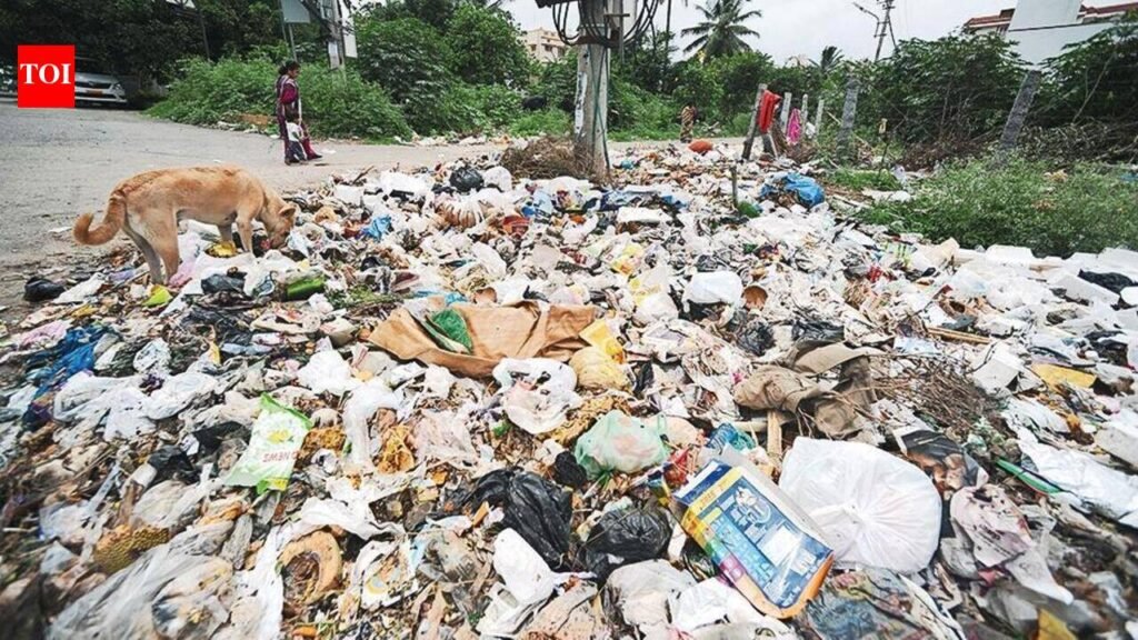 Bengaluru North corporation seeks citizen participation to plug waste management gaps | Bengaluru News