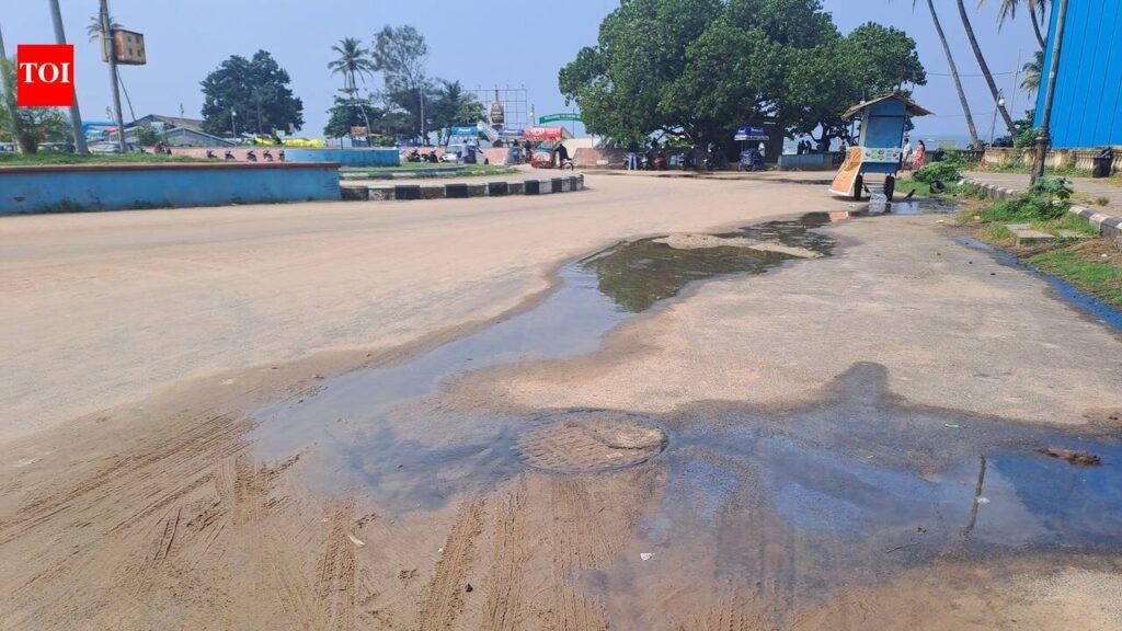 Colva beach’s ‘iconic’ dream stinks amid sewage overflow | Goa News