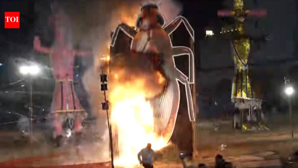 Delhi BJP leader burns giant cockroach effigy; CJP founder responds with SRK’s ‘Swades’ song | India News