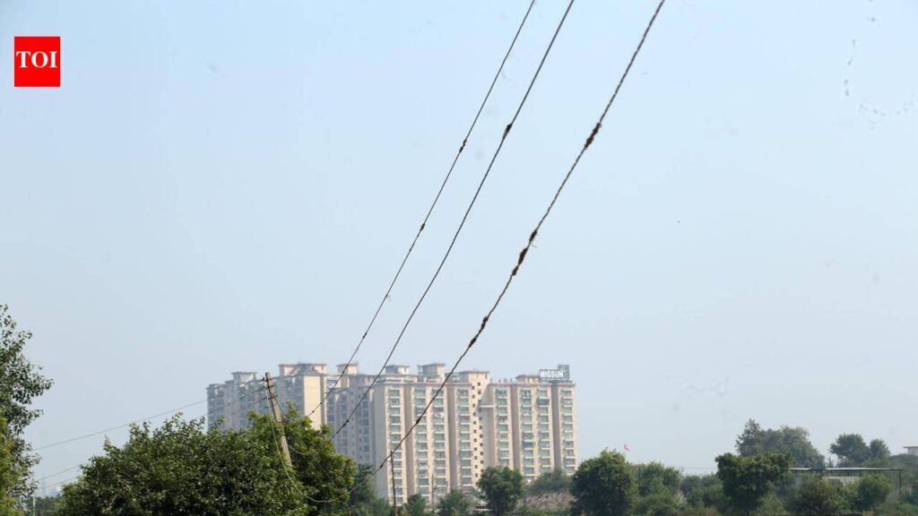 Woman, daughter-in-law electrocuted by snapped power cable | Noida News