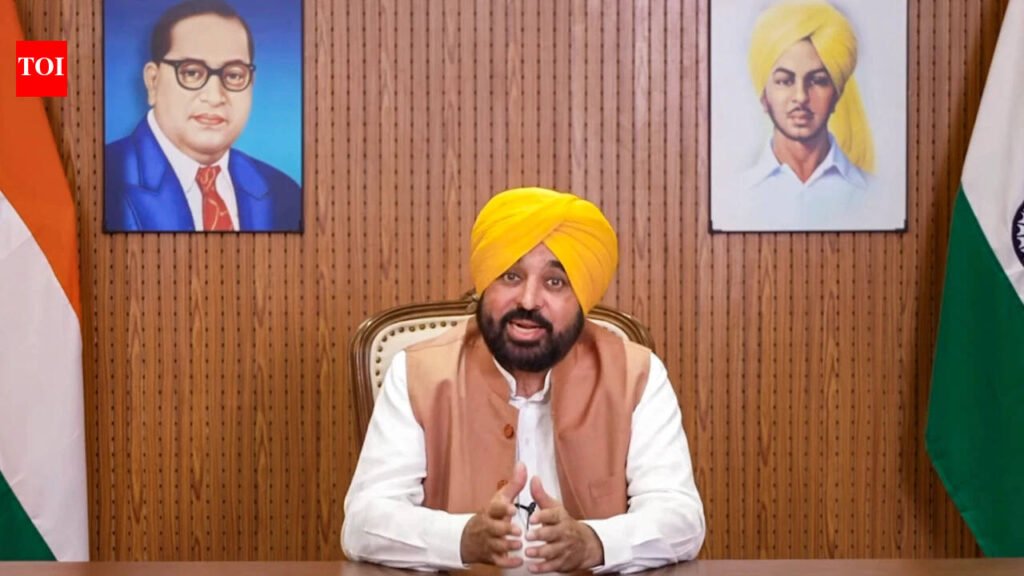 Punjab CM Bhagwant Mann ‘detained for 3 hours’ at Delhi airport, fined 50k | Chandigarh News