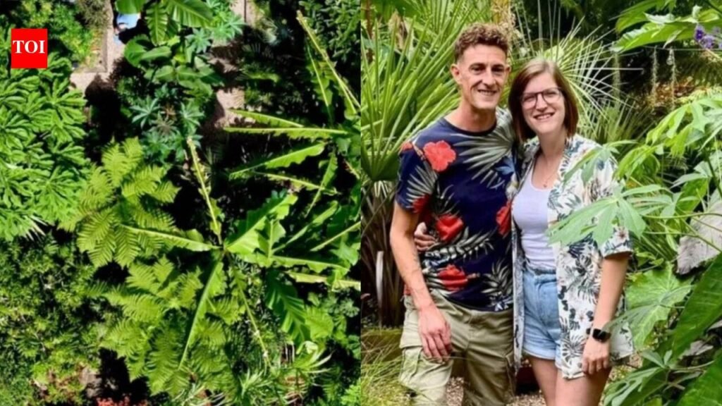Newport couple started with a banana tree in their backyard; it grew into a tropical jungle with exotic flowers, spiky foliage and poisonous plants: The garden, inspired by their travels, has become so wild that their son now gives friends a “danger tour” of its plants |