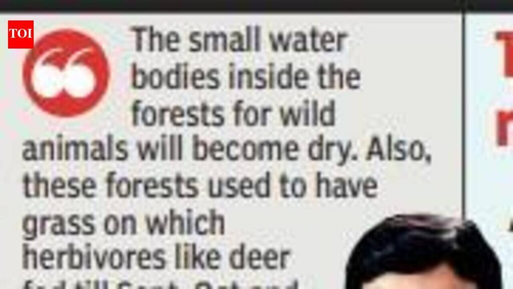 Farms to come under wild attack if forests go dry: Min | Nagpur News