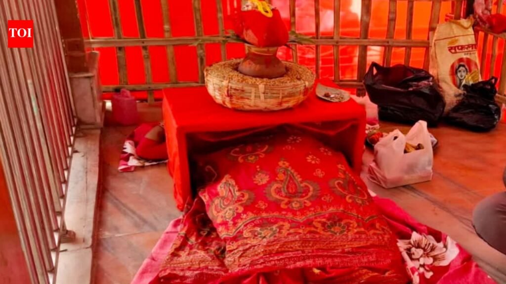 Woman dies a day after completing nine-day Durga Puja ritual in Supaul | Patna News