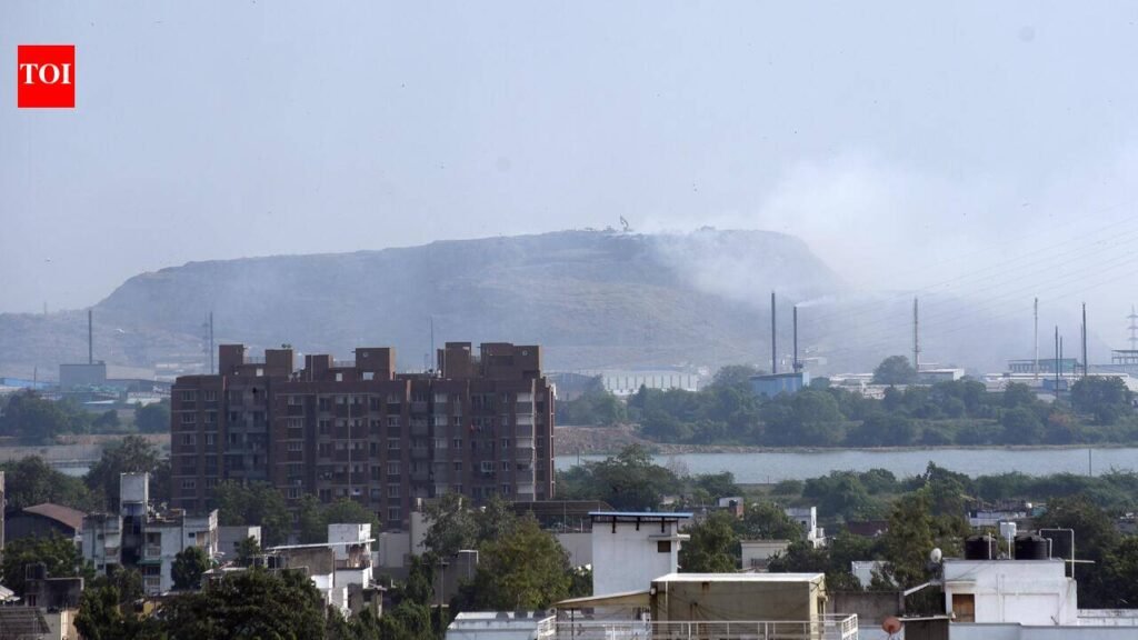 AMC panel rejects Pirana-Piplaj bridge proposal over price escalation clause | Ahmedabad News