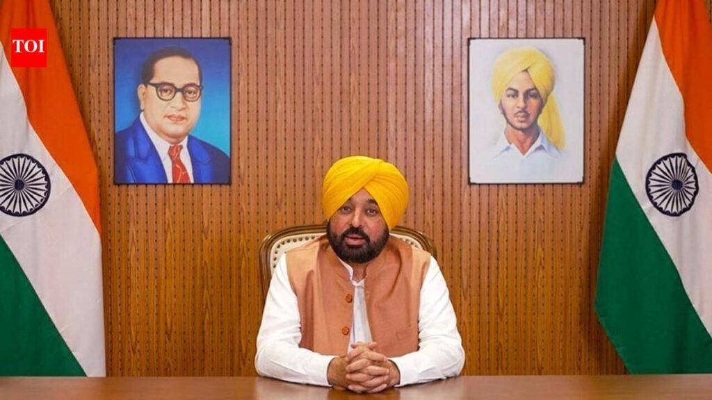 ‘Make challan public’: Punjab BJP quetions CM Mann over airport fine | Chandigarh News