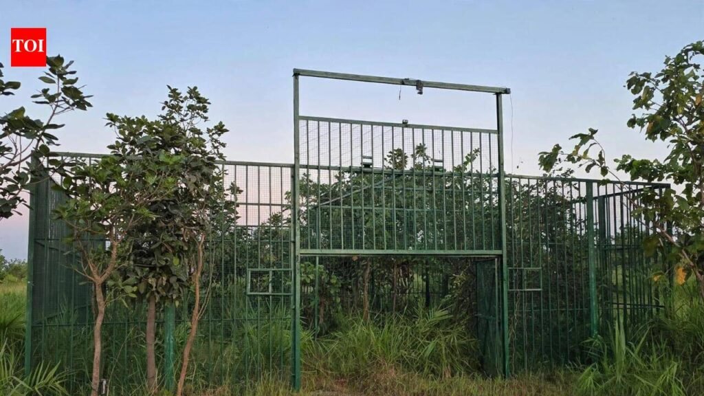 Foresters set up unique enclosure to trap tiger | Nagpur News