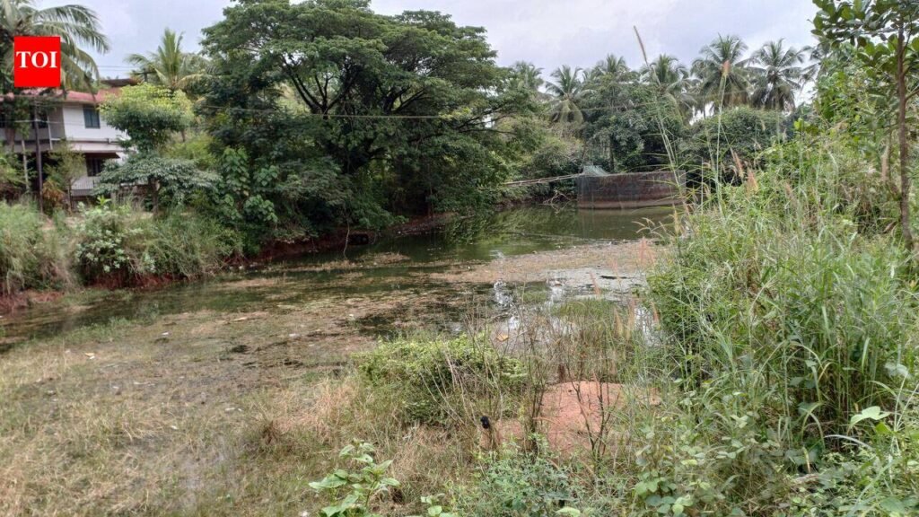 Muda reserves Rs 16 crore to develop 8 lakes | Mangaluru News