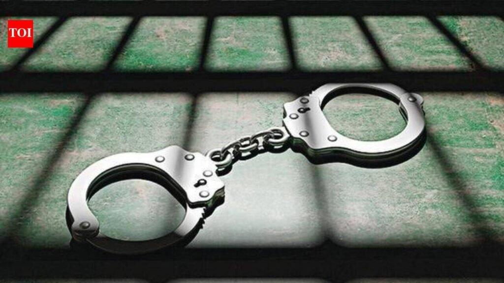 Two held for threatening traffic cops over dumper’s no-entry violation | Vadodara News