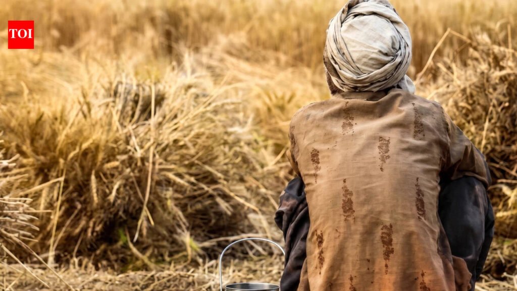 Maharashtra records 13,928 farmer suicides in 54 months, over 8 deaths a day; state withholds district-wise data sought under RTI | Mumbai News