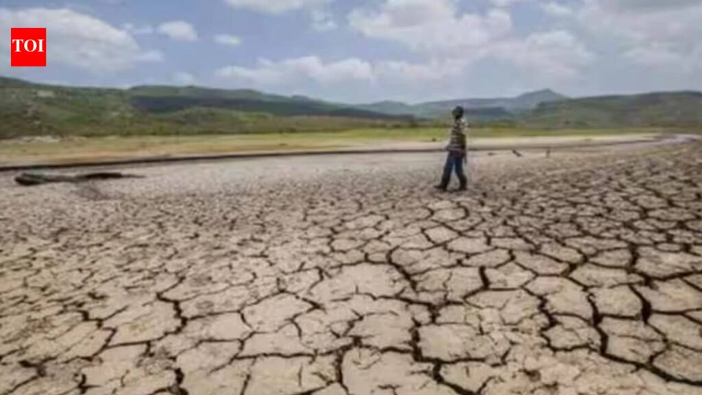 Gujarat alert: Devbhoomi Dwarka, Kutch, Jamnagar and Porbandar districts declared drought-affected; farmers to get Rs 8,500 per hectare | Ahmedabad News