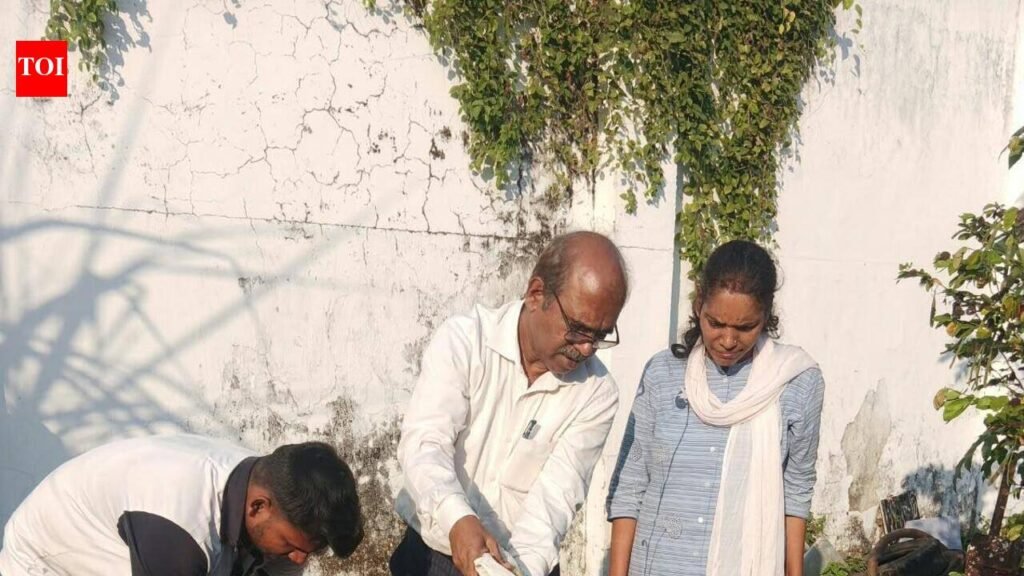 Expired, unlabelled products destroyed during food safety drive in Patna | Patna News