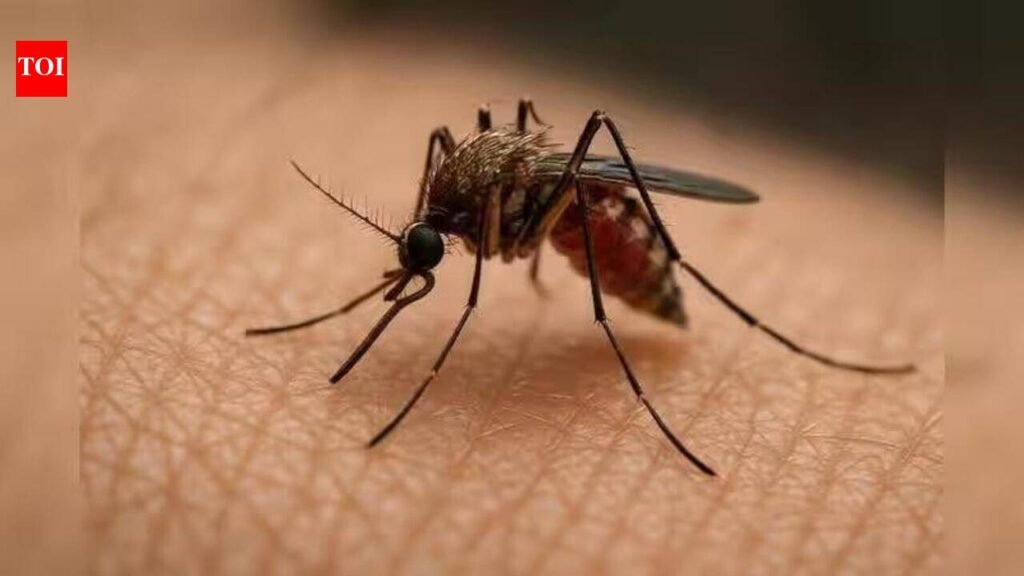 Ahead of Unity Day parade, 33 BSF jawans down with dengue | Vadodara News