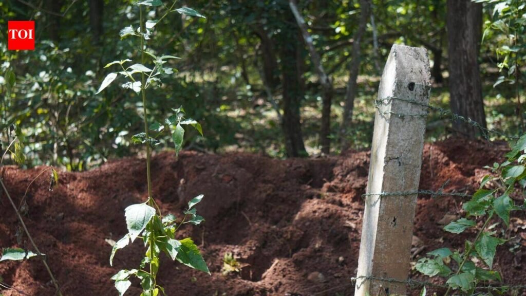 Gaur death in road accident exposes wildlife management failures | Mysuru News