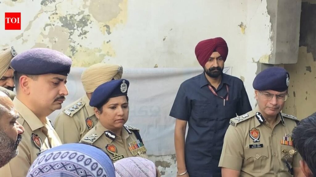 Two cousins killed, 3 injured in suspected gang rivalry firing in Moga | Chandigarh News