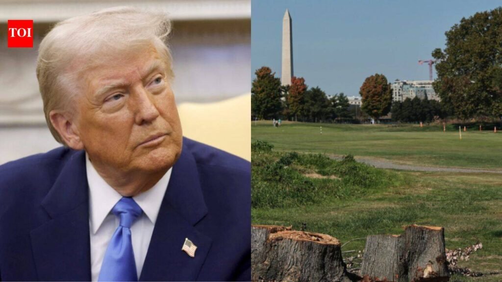 A US judge extends a ban on further tree removal at Trump’s historic Washington golf course, where more than 400 trees were cut, and orders advance notice before other irreversible work on the site